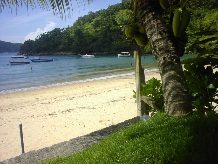 the view from a wooden beach hut to boats and a lush green forest