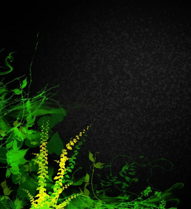 ferns and ferns in front of black background