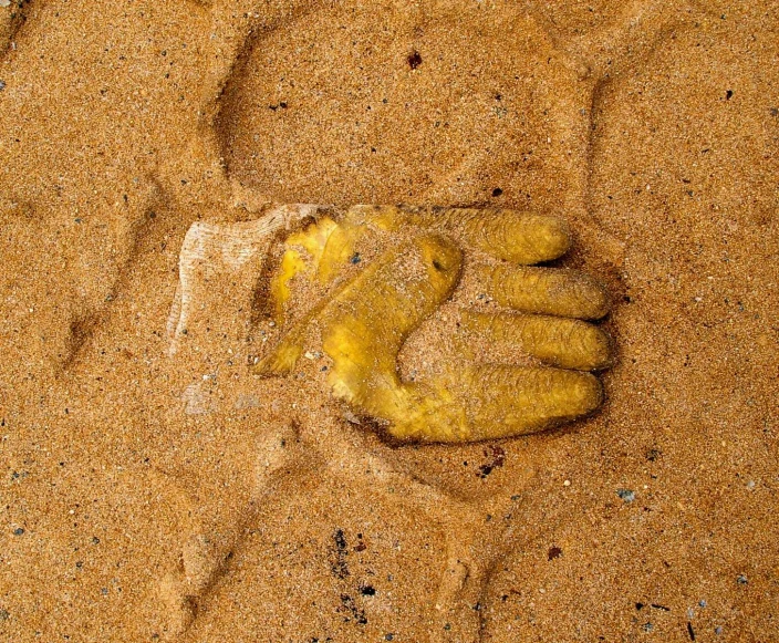 the animal's paw prints in the sand have yellow spots