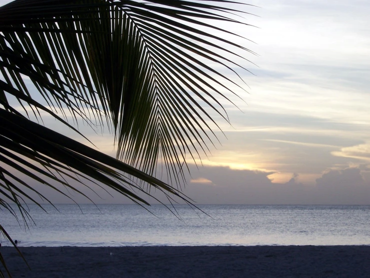 a po of a beach with the sun going down