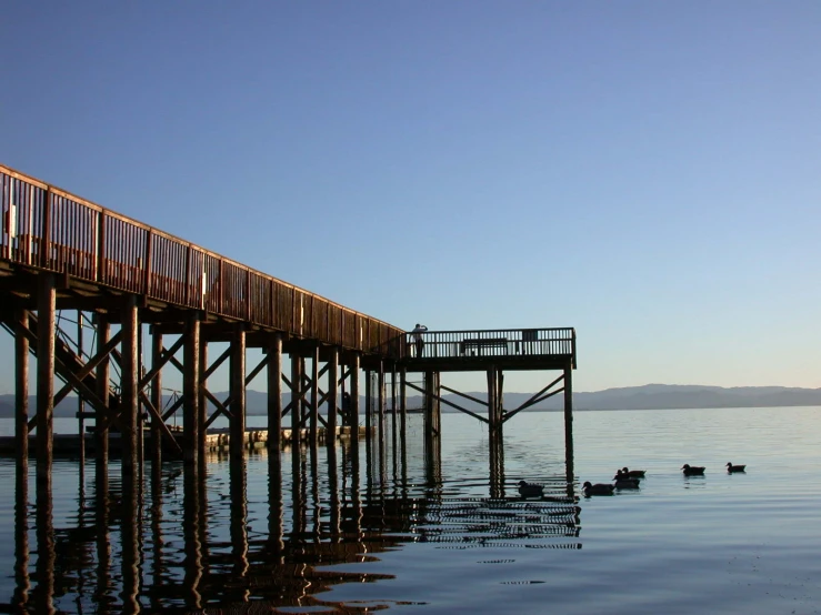 an old pier with birds floating in it