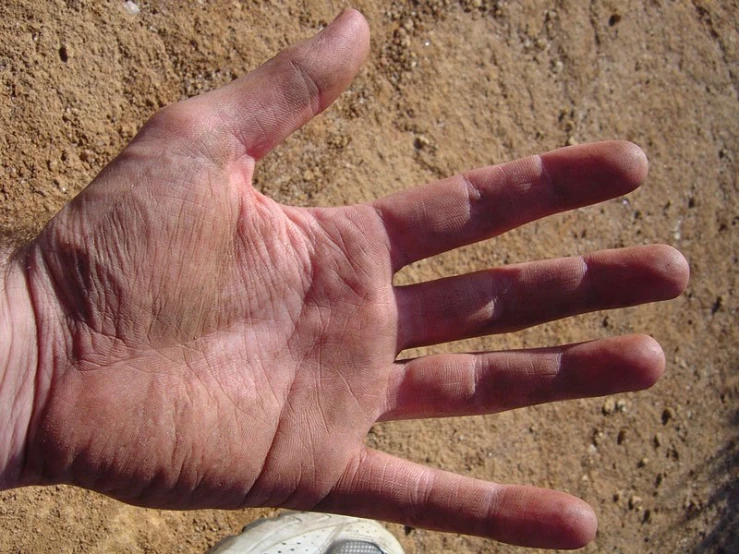 a hand with wrinkles and a white shoe