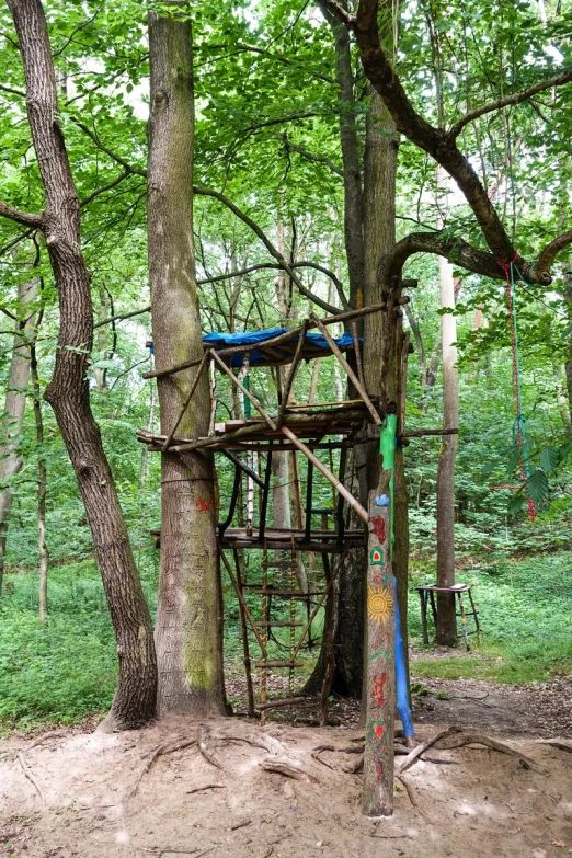 a small playground in the woods with a climbing tower