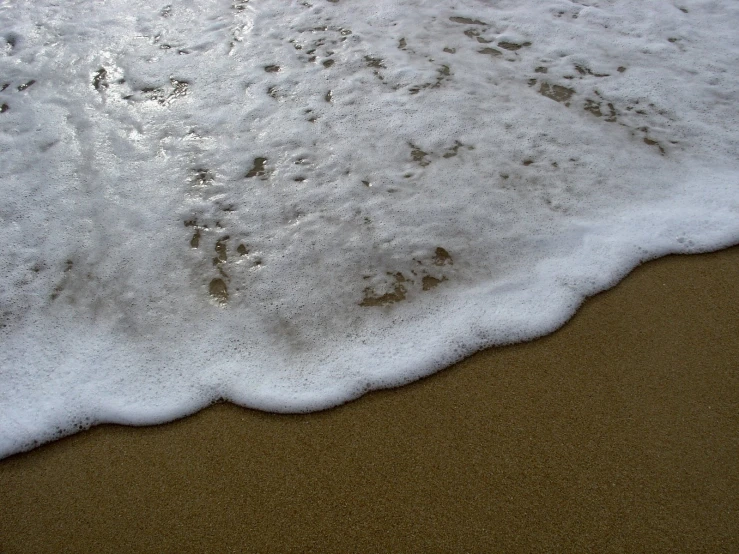 waves with small footprints on sand beach