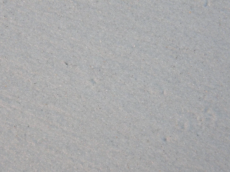 a small bird is flying above some sand