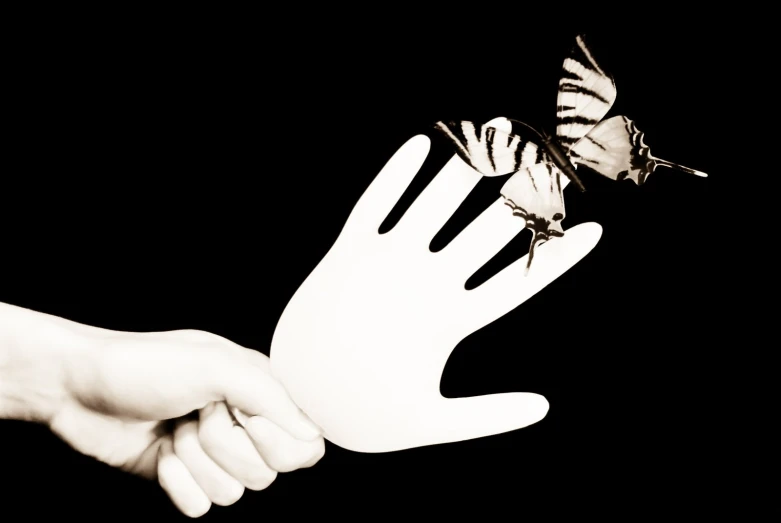 two hands touch each other with a erfly flying overhead