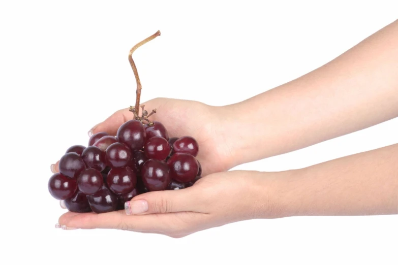 hands holding gs with brown stems and stems