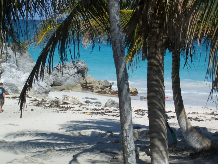 two people are walking on the beach near some trees