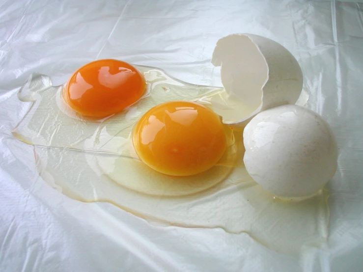 two white eggs, one orange and one brown