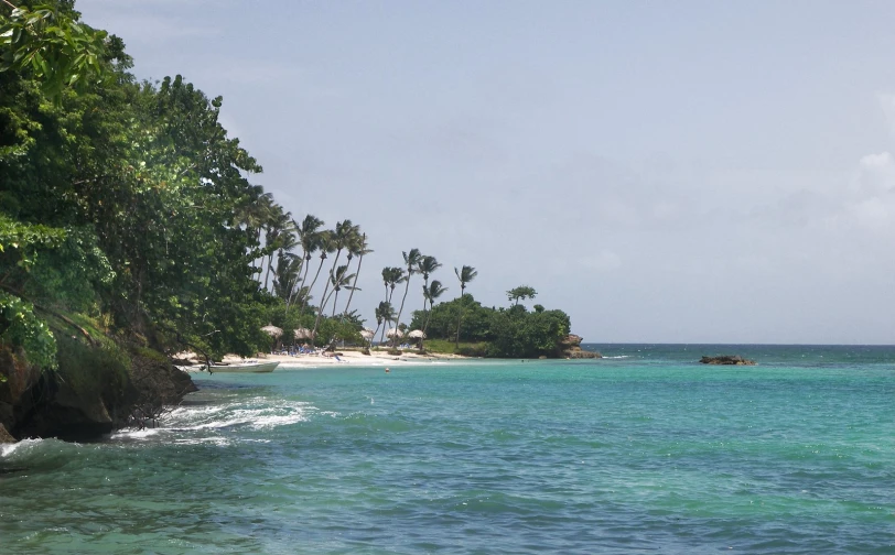 small island surrounded by trees in a lagoon