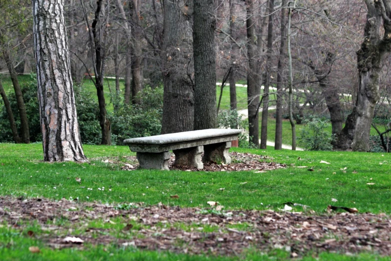 this is an image of a bench in the park