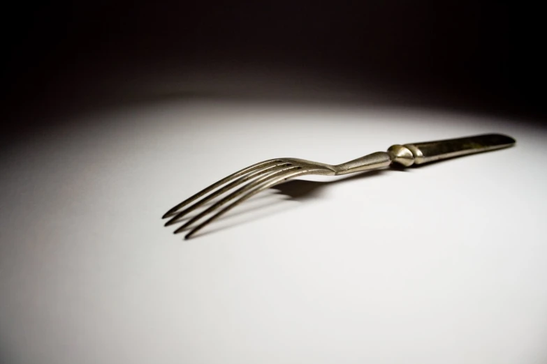 there is a fork that has some food on it