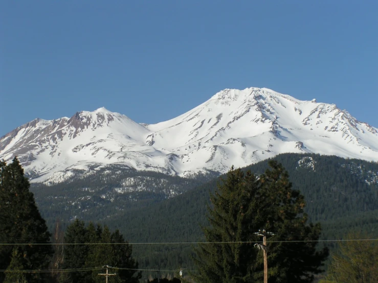 a large snow covered mountain towering over trees