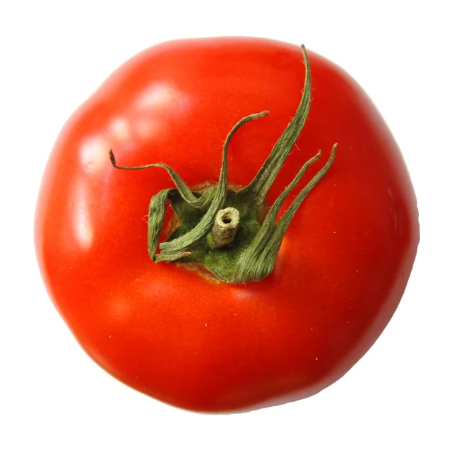 a single tomato with a green eye and a single stalk inside