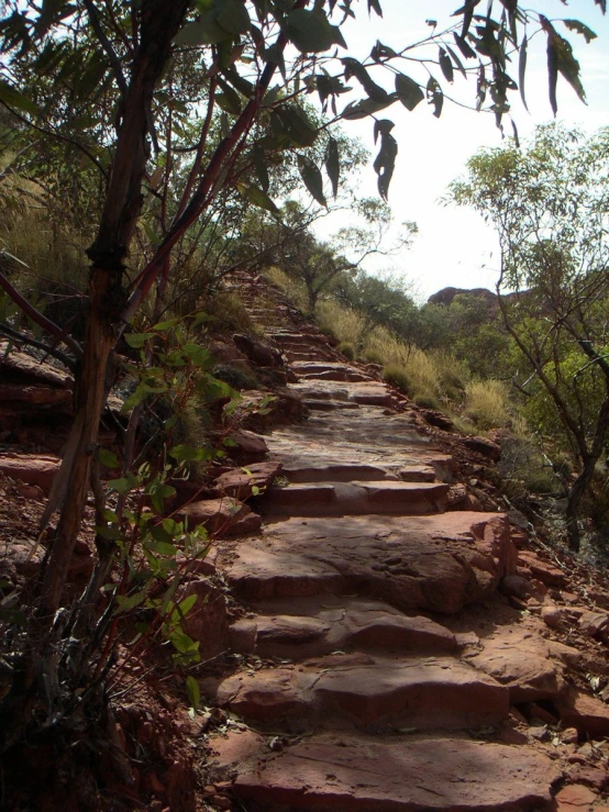 a stone trail leading to some rocky areas