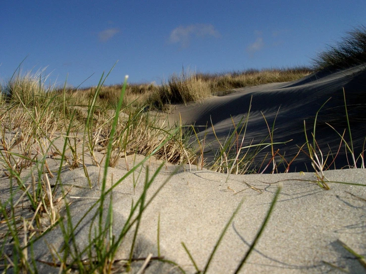 a sand dune and green grass under a blue sky