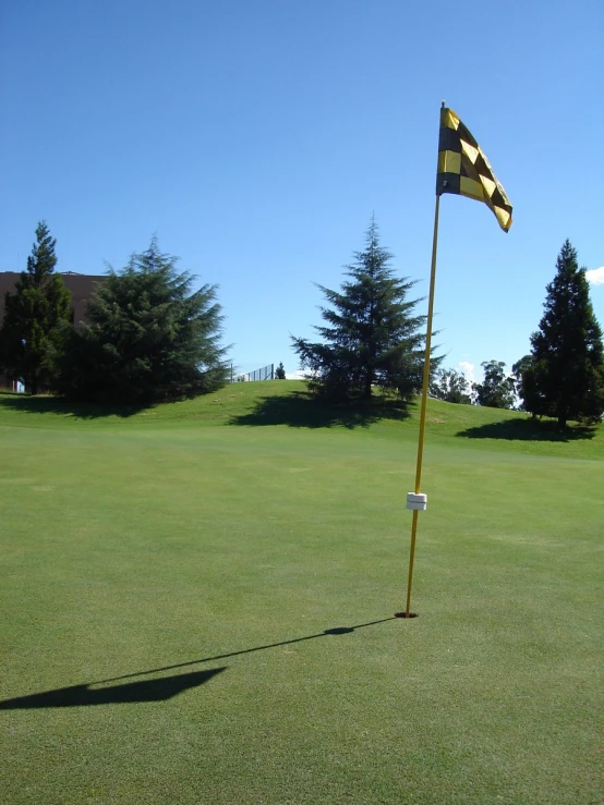 a yellow and black flag pole on a golf green