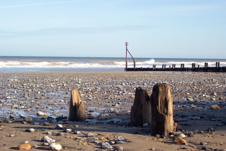 several logs are standing on the beach