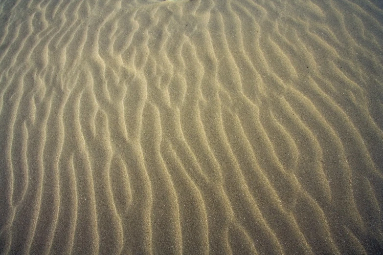 a sandy field with small trees in the distance