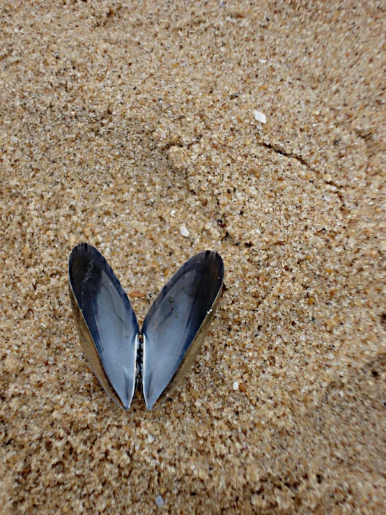 a broken glass is left in the sand