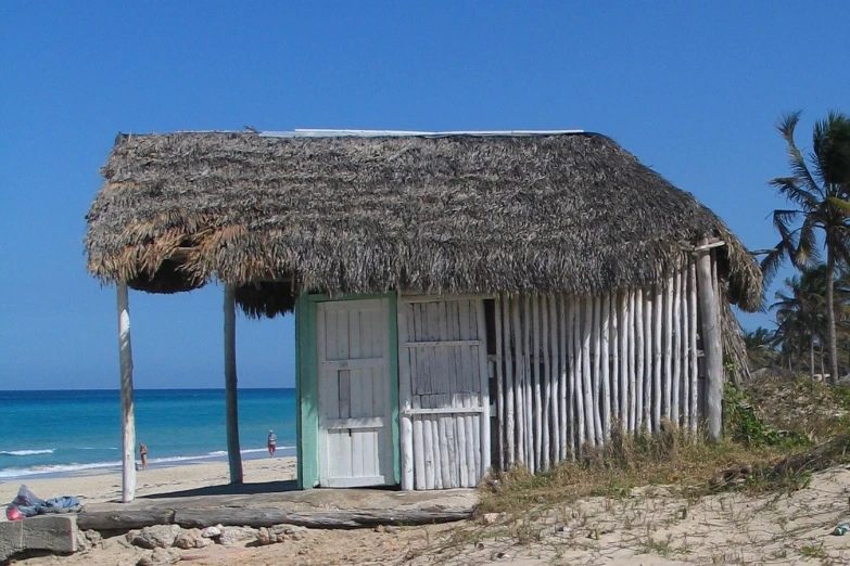 a hut on the shore of a beach with palm trees