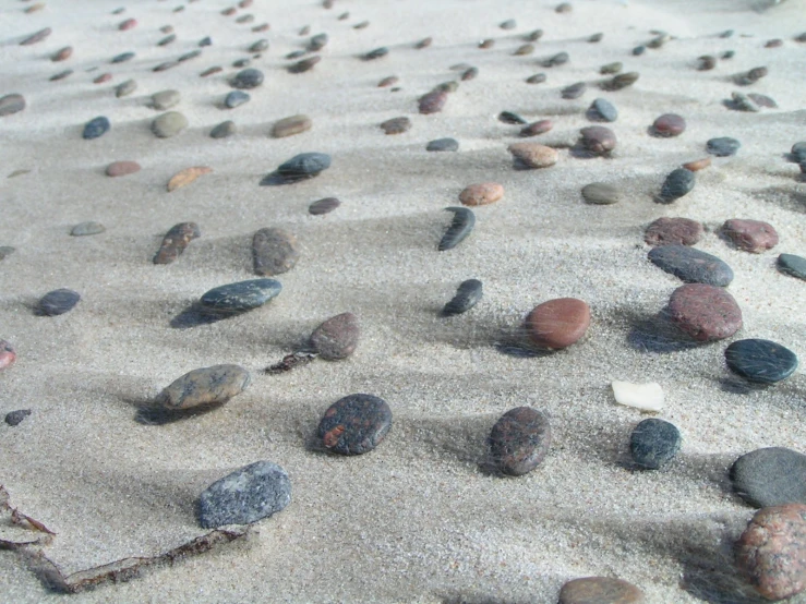 a close up of rocks in the sand