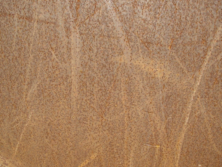 a beige, rusty, rough textured wall with small holes