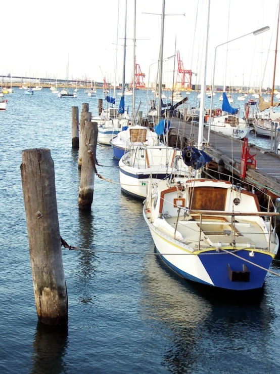 many boats are sitting docked on the water