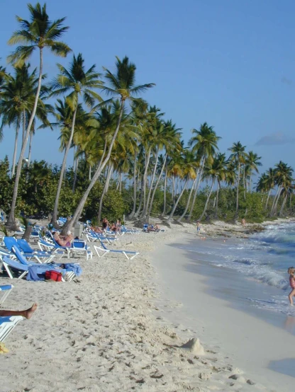 a beach with a lot of lounge chairs and palm trees