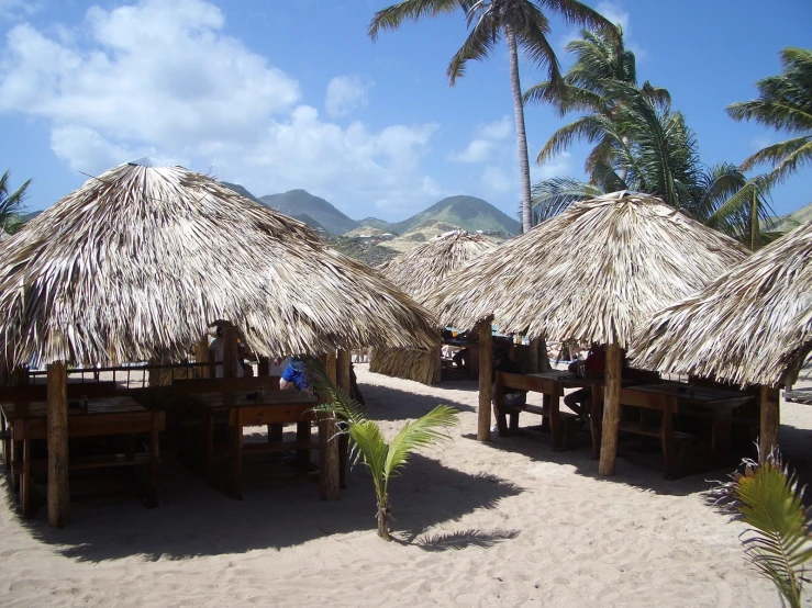 a beach with people sitting and eating underneath umbrellas