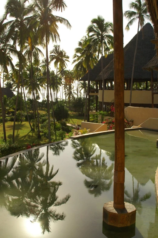 a pool surrounded by palm trees and water