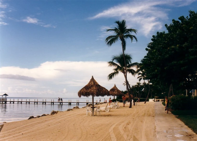 many beach chairs on a sandy beach with a pier and palm trees