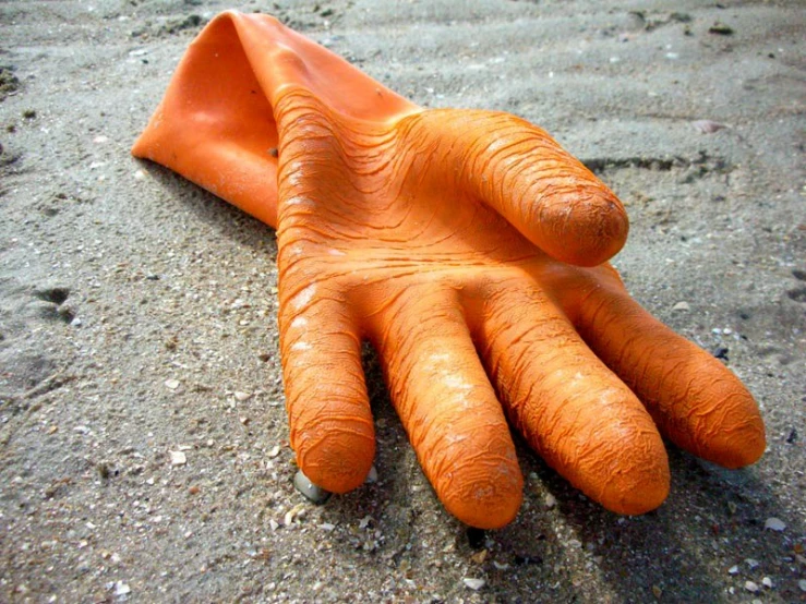 an orange hand laying on the ground