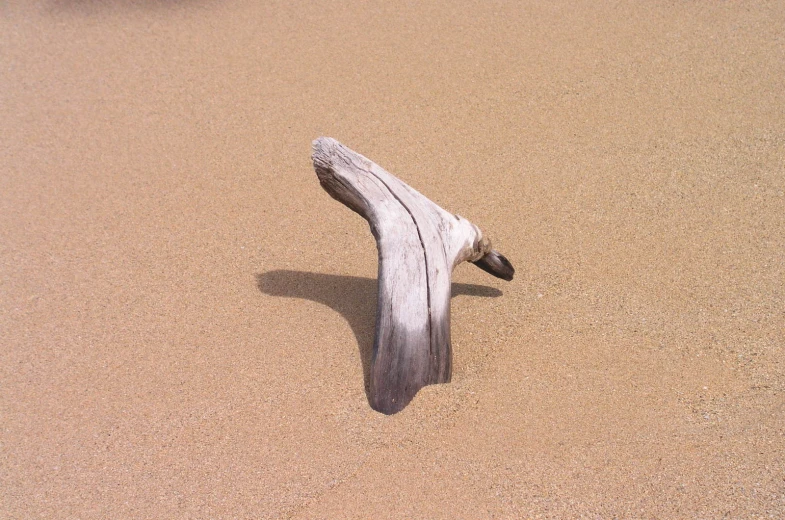 a worn wooden bench on the sand of a beach