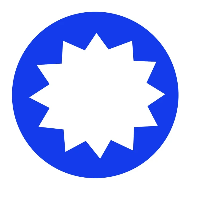 a blue and white circle with a starburst design