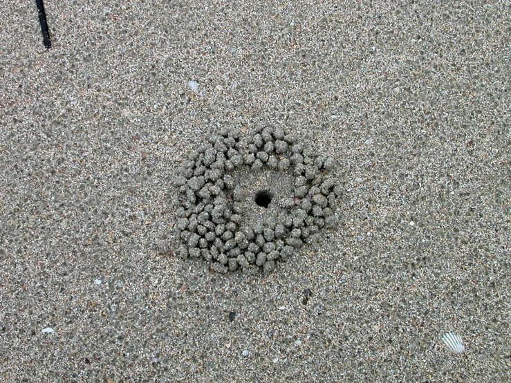 there is sand balls around a decorative object