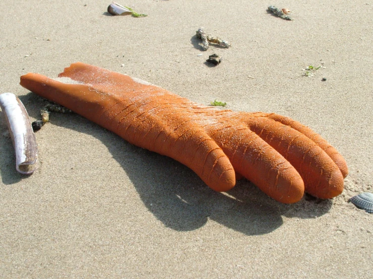 a carrot shaped object with two fingers is laying on the sand