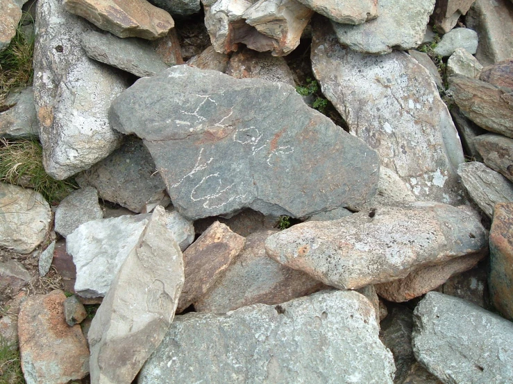 large group of rocks on the ground with grass