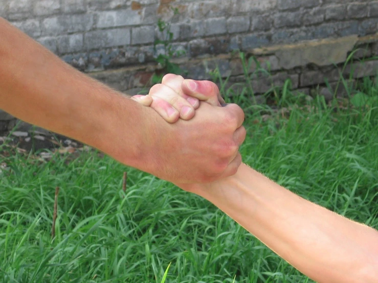 two people hold hands as if making a gesture