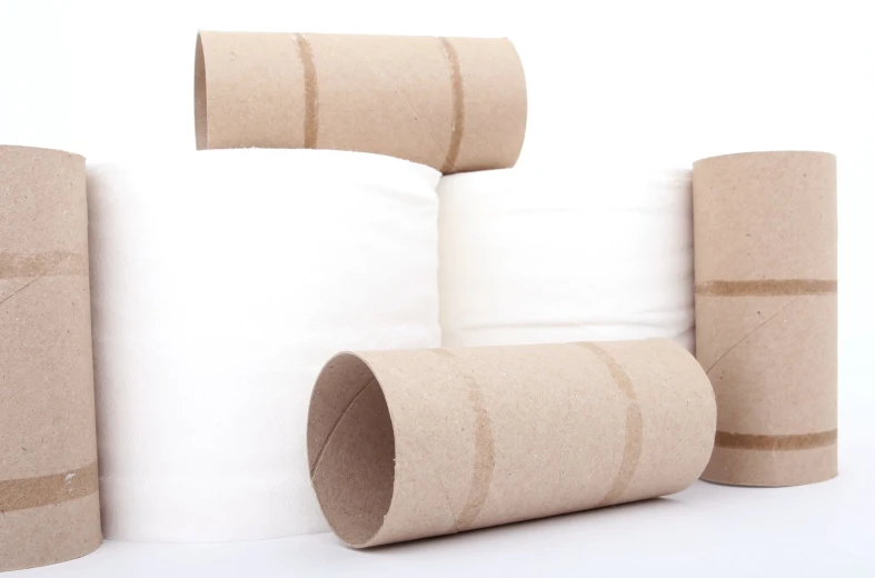 a group of rolls of toilet paper are sitting next to each other