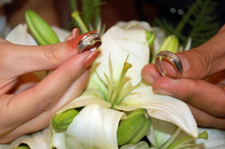 two hands on top of white flowers holding silver rings