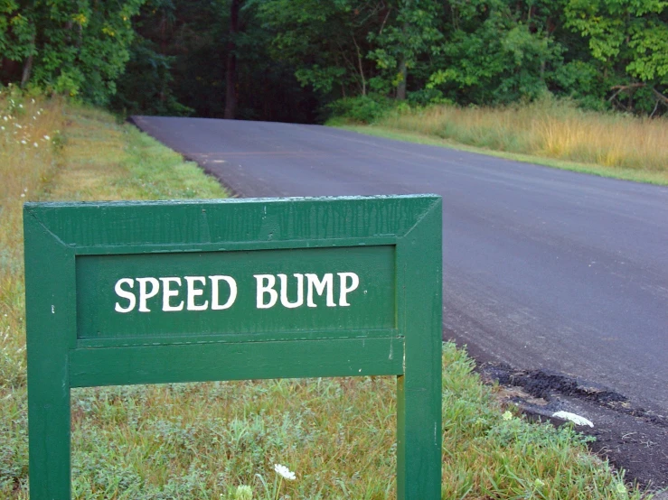 a green speed bump sign near the road