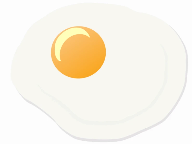 fried egg on top of white plate