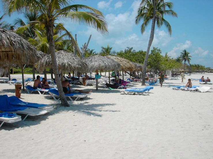 people relaxing in lounge chairs on the beach