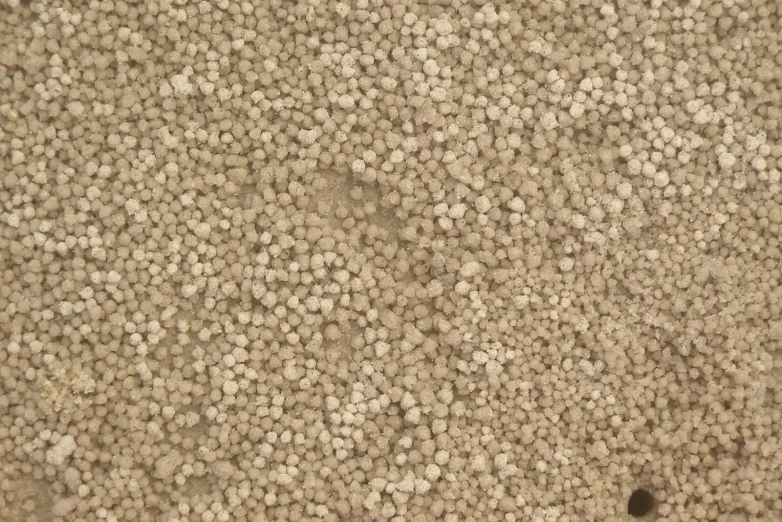 aerial view of the carpet with several dots