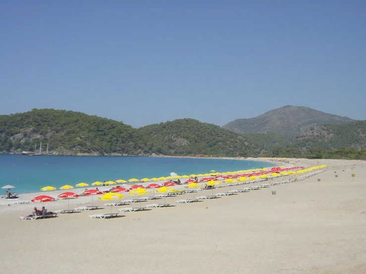 umbrellas are lined up on a beach