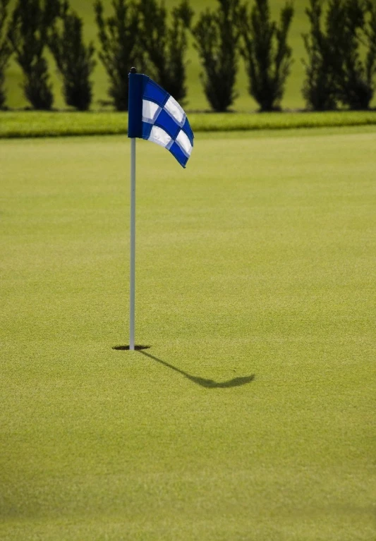 a green grass covered putting hole with a flag on the top of it