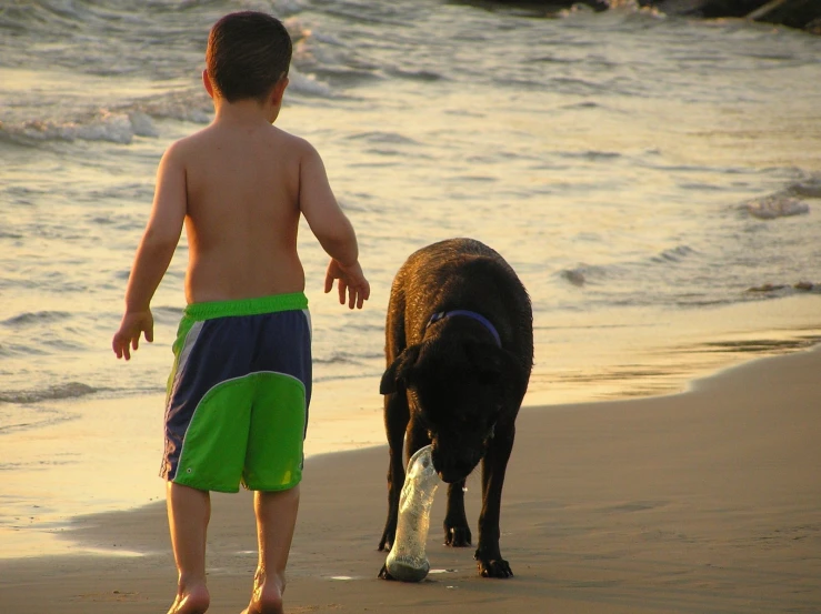 a  is walking on the beach with a dog