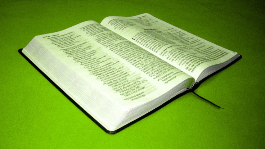 a book laying on top of a green floor next to a pen