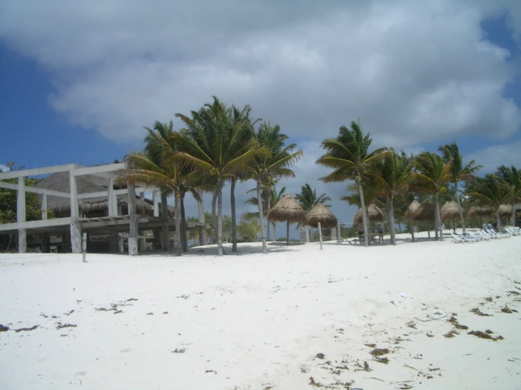 a sandy beach surrounded by palm trees and buildings